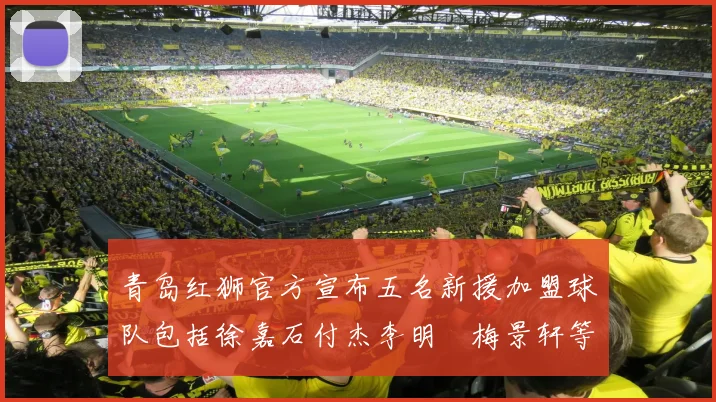 青岛红狮官方宣布五名新援加盟球队包括徐嘉石付杰李明璠梅景轩等球员